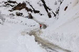 کولاک برف در ۸ استان